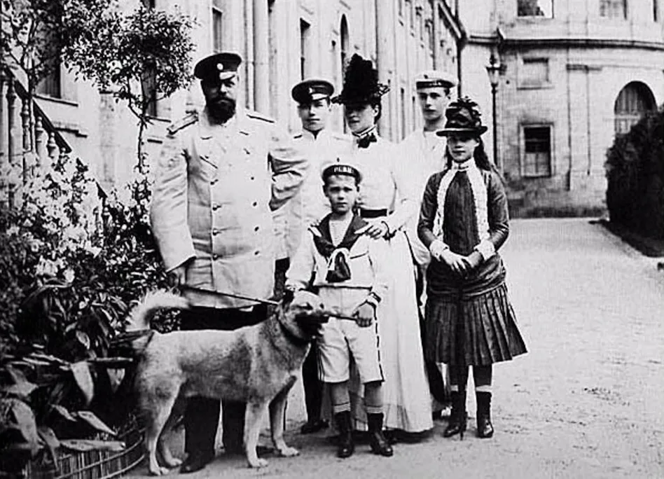 Мастер-класс «Верный друг с Камчатки»